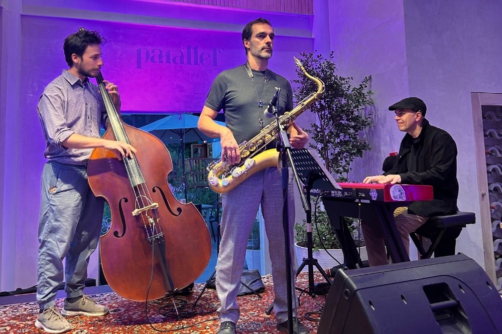 Concierto en vivo