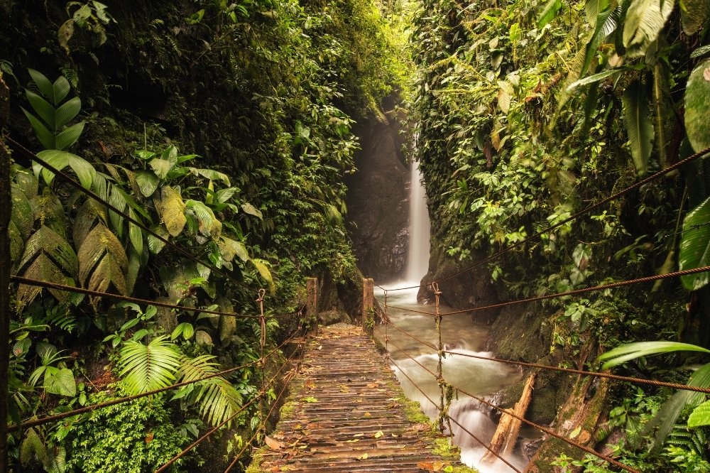 Bosque Nublado de Mindo / Mindo Cloud Forest · Día completo / Full Day